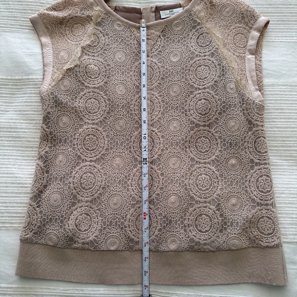 Designer Blush Lace Top With Mesh Lining By Scand… - image 3